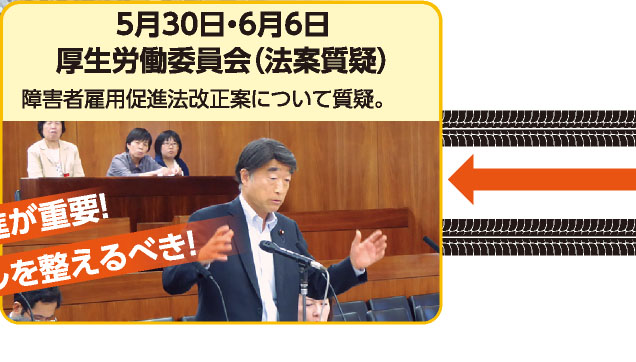 5月30日・6月6日 厚生労働委員会（法案質疑） 障害者雇用促進法改正案について質疑。